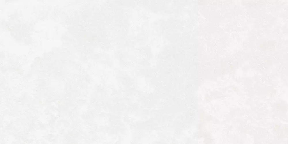 Керамогранит Central Park (Централ Парк) 600*1200 белый K-701/MR — купить в Березовском