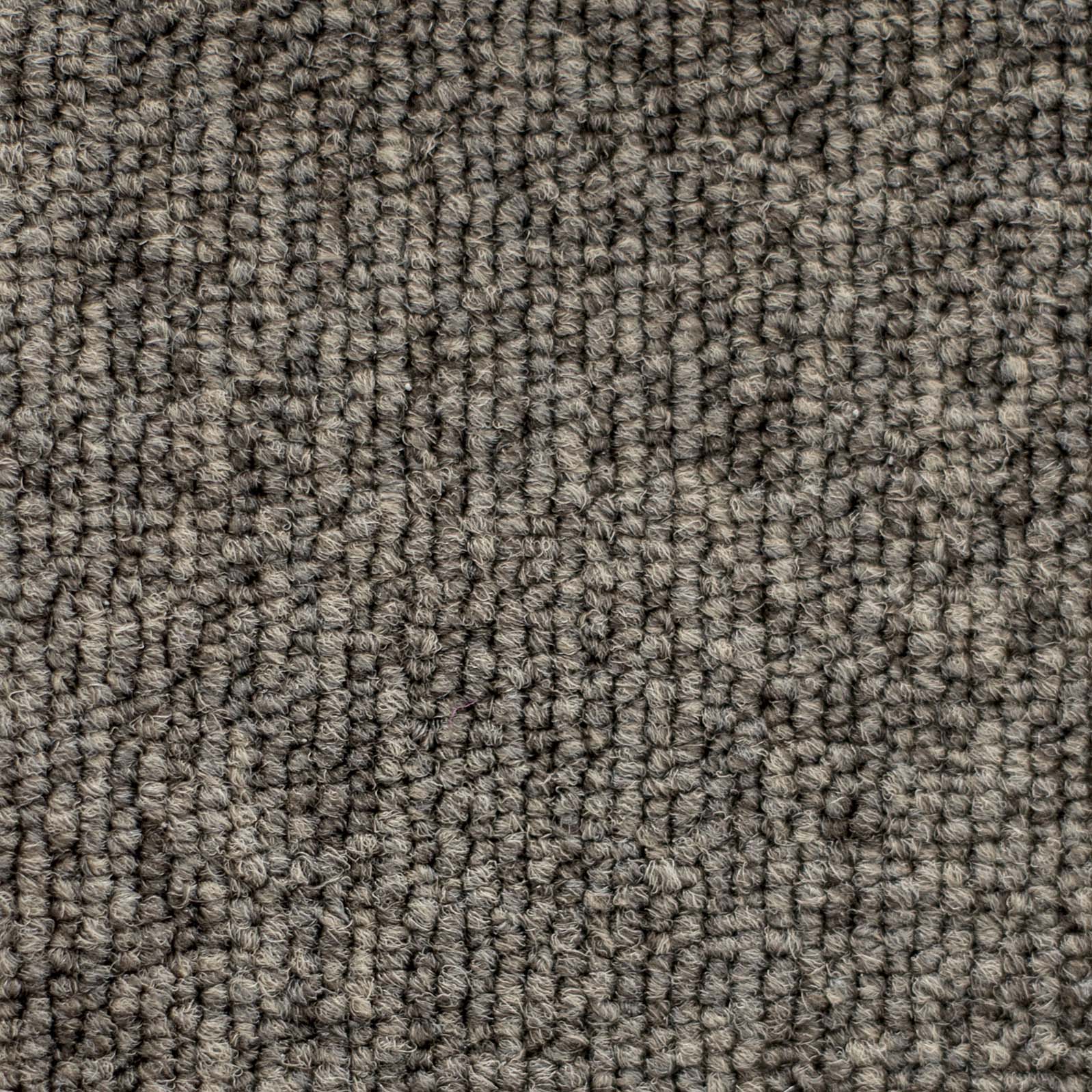 Ковролин "Зартекс" Daily 68 коричневый (4м) — купить в Березовском