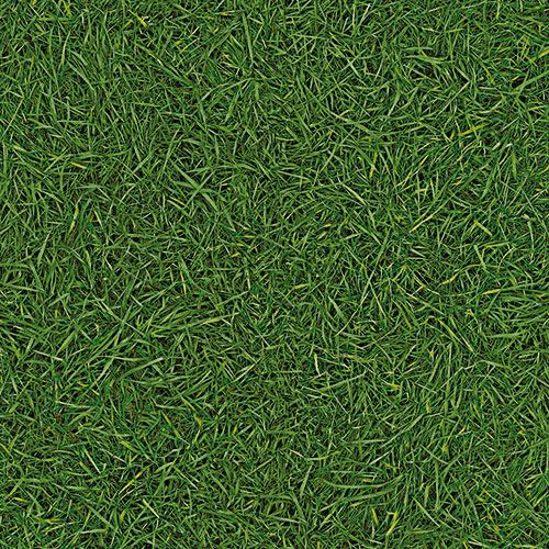Линолеум бытовой "IVC" Bingo Grass 25 (3м) — купить в Березовском