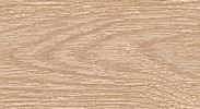 Плинтус "Идеал" пластиковый Элит Дуб Сафари (2500*22*67 мм) — купить в Березовском