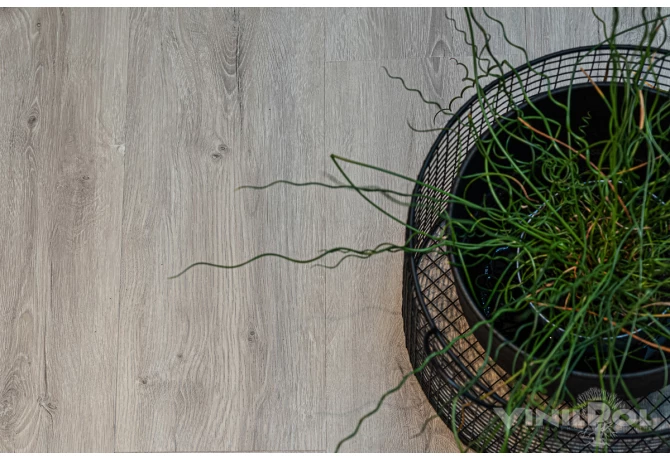 SPC ламинат Дуб Неаполь (1220*228*5 мм) — купить в Березовском