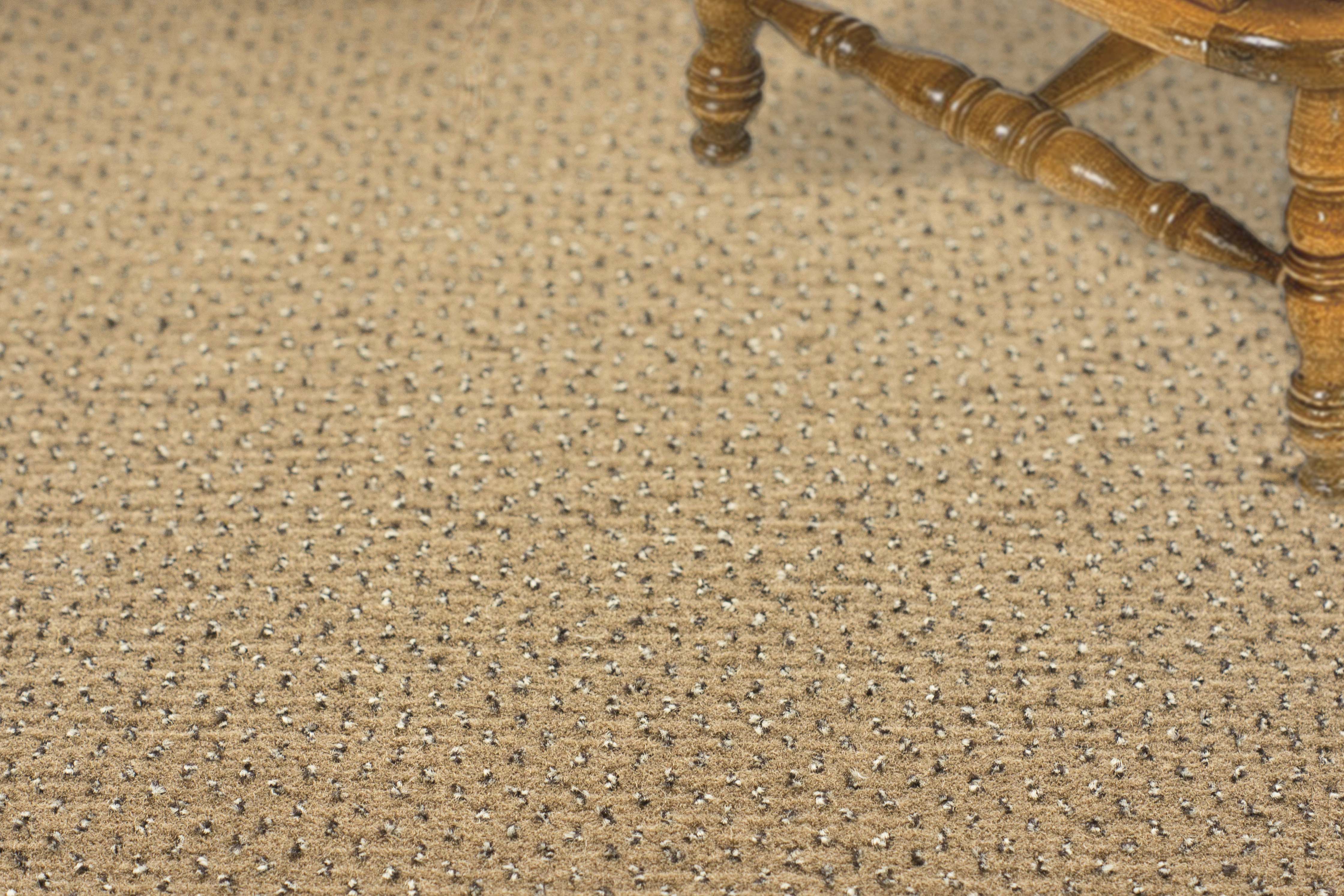 Ковролин "Зартекс" Eternity 142 бежевый (4м) — купить в Березовском